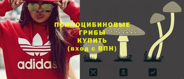 твердый Сосновоборск